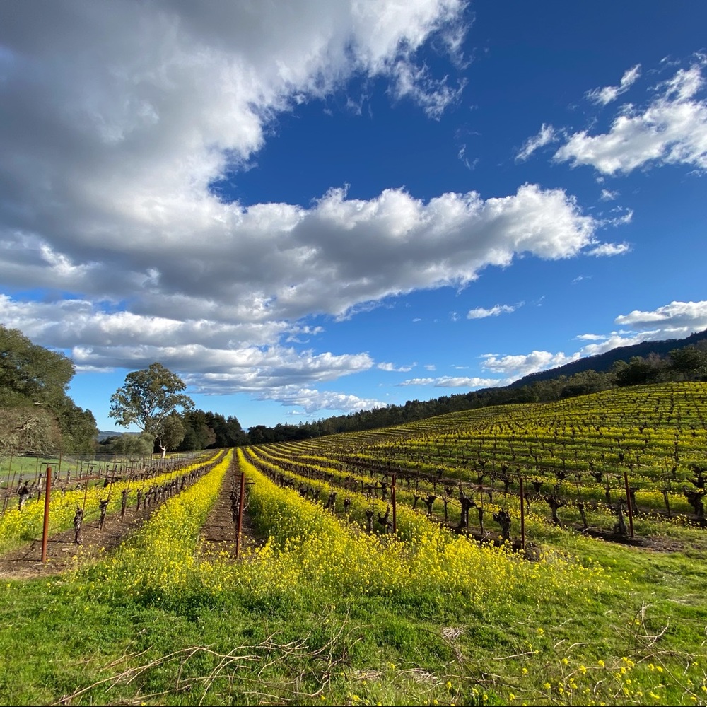 Welcome, earthlings! - Picture 5 of 5